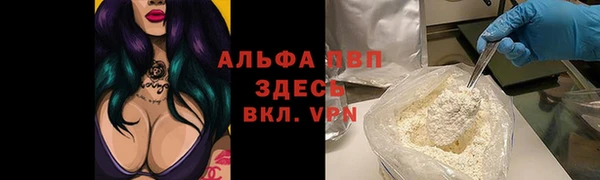 PSILOCYBIN Баксан