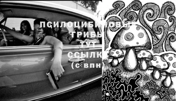 PSILOCYBIN Баксан