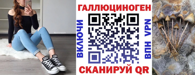 Купить где  Выборг  Псилоцибиновые грибы мицелий 