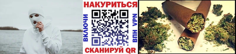 Каннабис сатива  Купить где  Выборг 